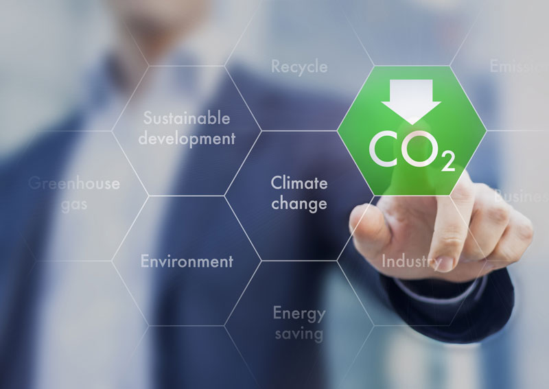 Empleo en Sostenibilidad y Medio Ambiente