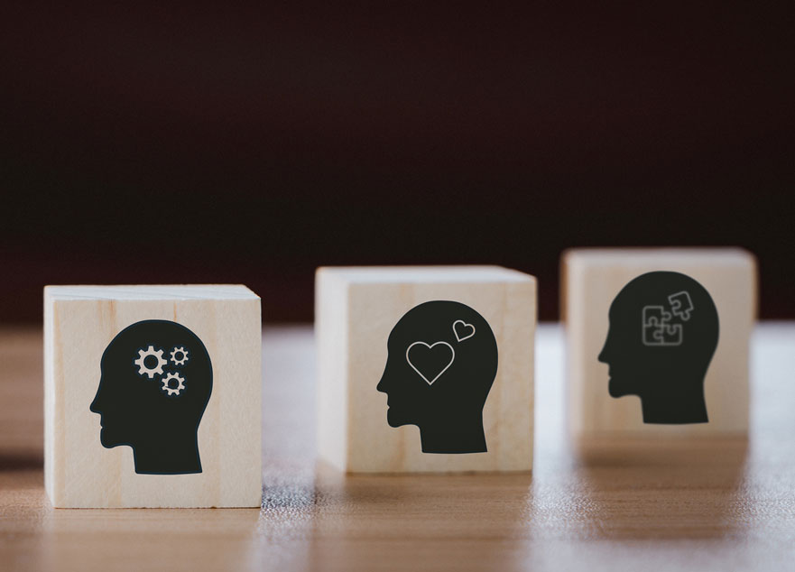 Qué son las competencias transversales